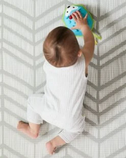 SKIP HOP Bewegliches Musikspielzeug Igel Explore & More 6m + -Skip Hop 14751fd0bda01a7a6dabd372be8effa0