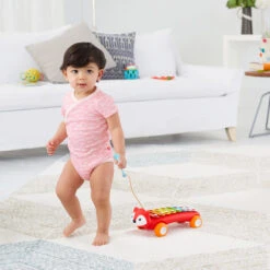 Skip Hop E&M Xylophon Clever Fox -Skip Hop 1b9fd33ffad9f7af5e020c051352af32