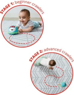 SKIP HOP Bewegliches Musikspielzeug Igel Explore & More 6m + -Skip Hop d7644f6dfaabaf17b2e337b21ab3f8e2