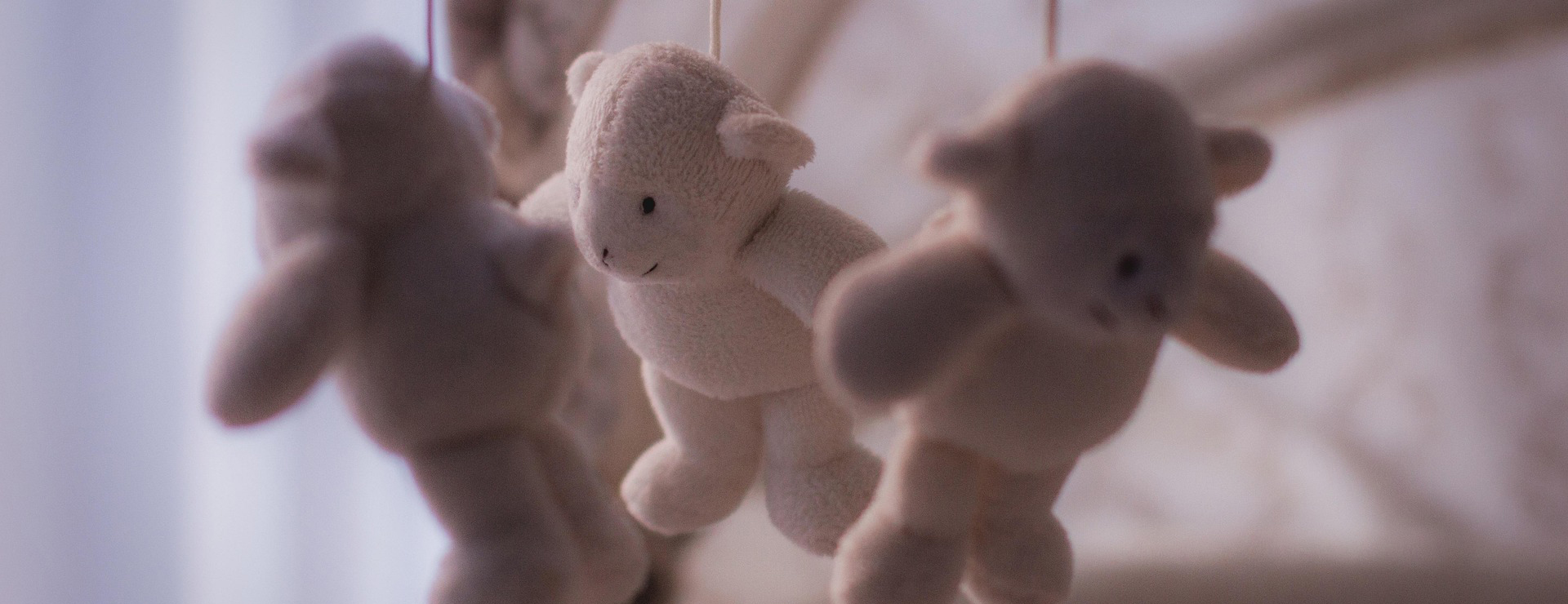 Skip Hop -Skip Hop toys 1284070 1920